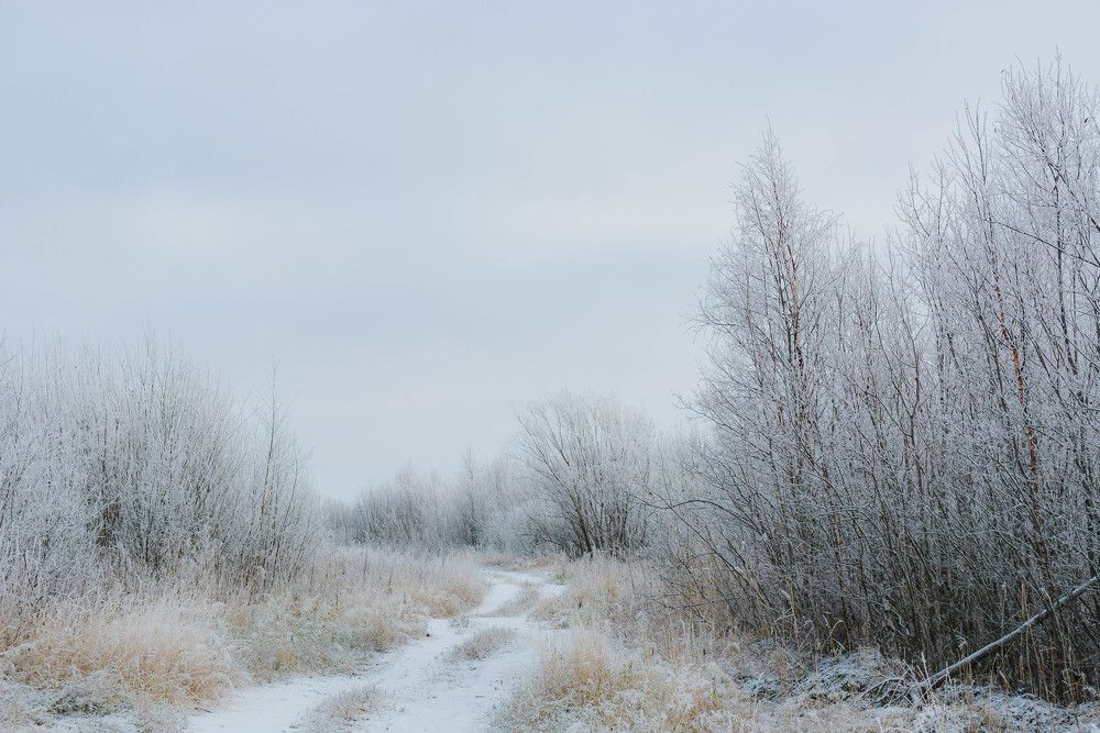 Photograph by Алексей Ильин