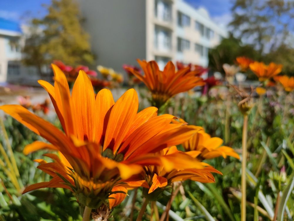 Photograph by Оксана Губанова