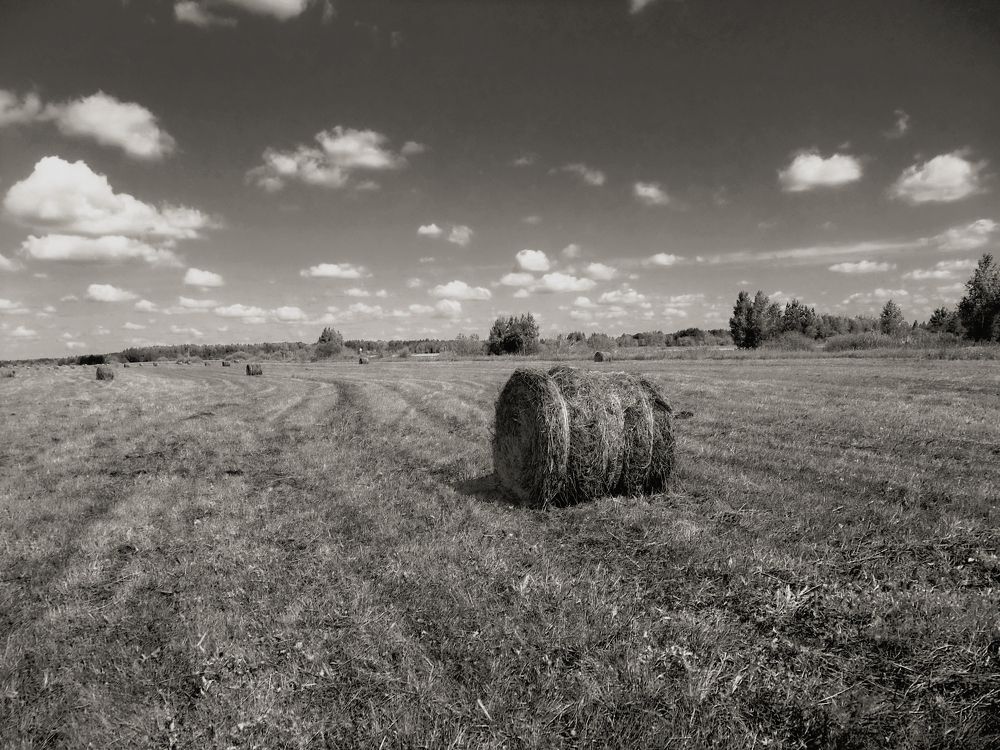 Photograph by Баженова Наталья