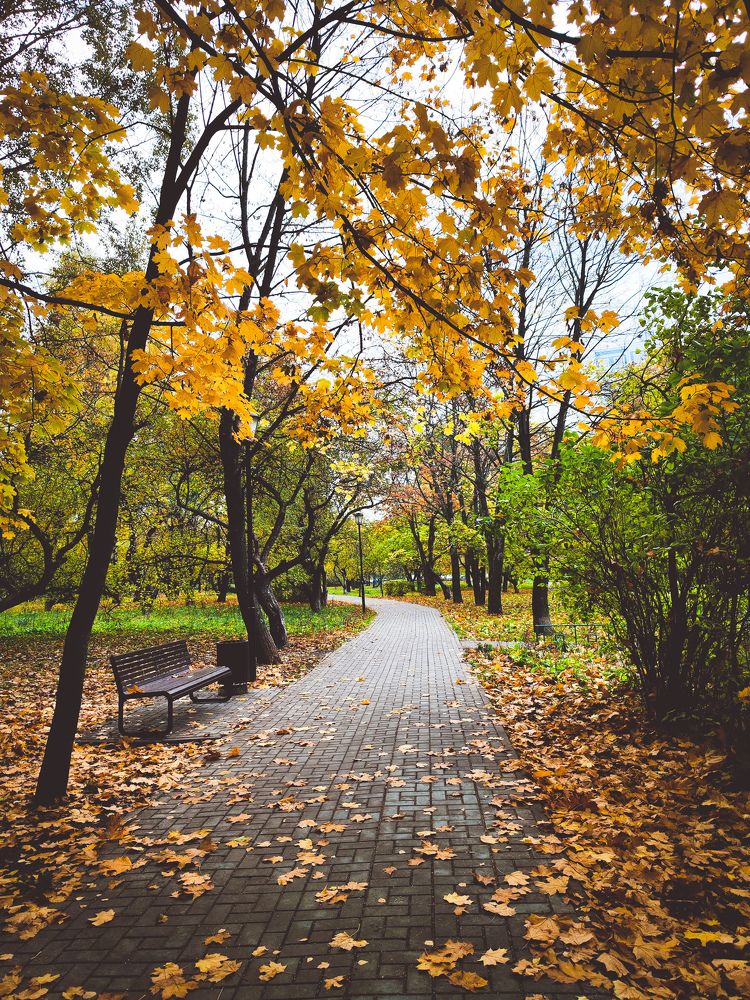 Photograph by Андрей Ионов