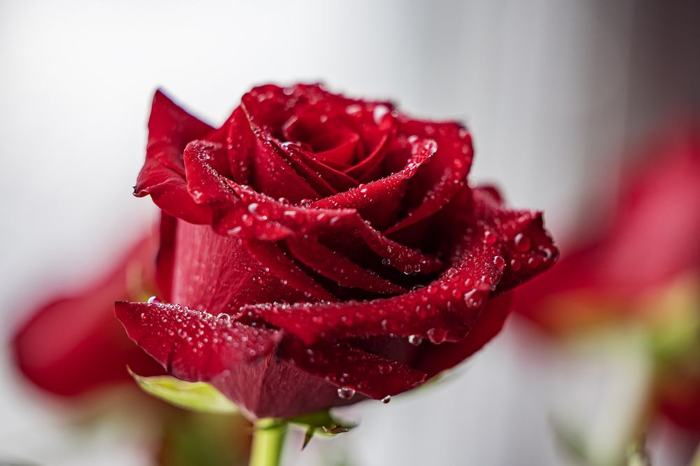 Photograph by Иван Логвинов