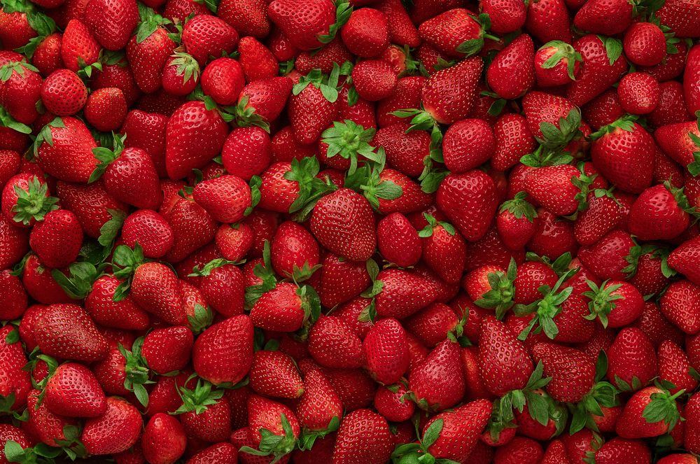 Photograph by mahmoud ahmed