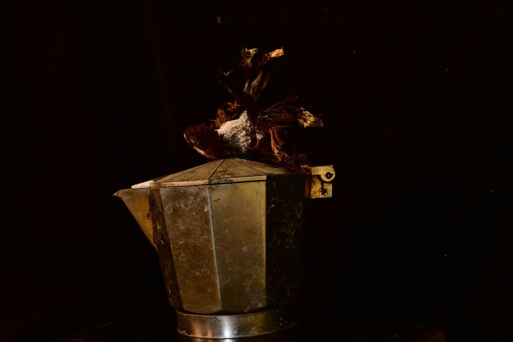 Photograph by Aleksei Demchenko