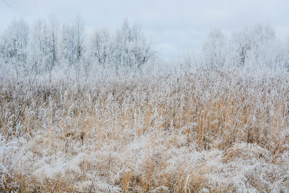 Photograph by Алексей Ильин