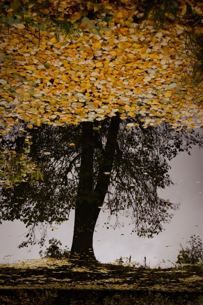 Photograph by Татьяна Стружкина