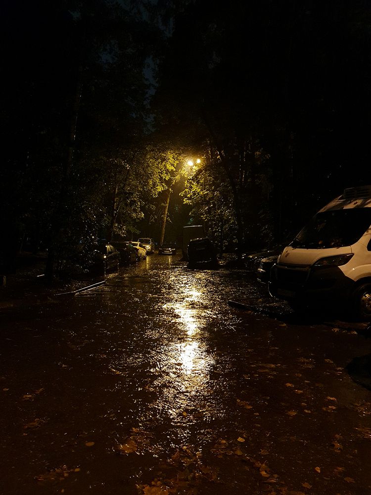 Фотография автора Надежда Лисицына