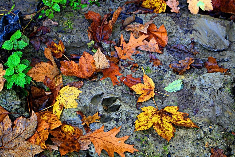 Photograph by Сергей Рапопорт