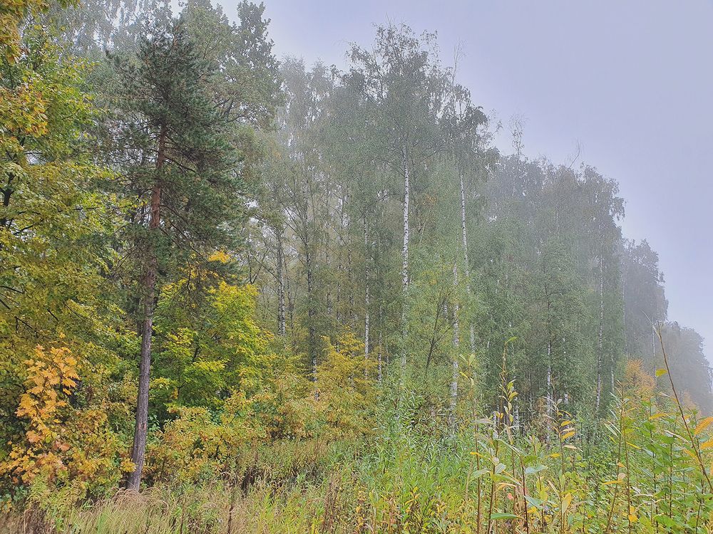 Фотография автора Надежда Лисицына