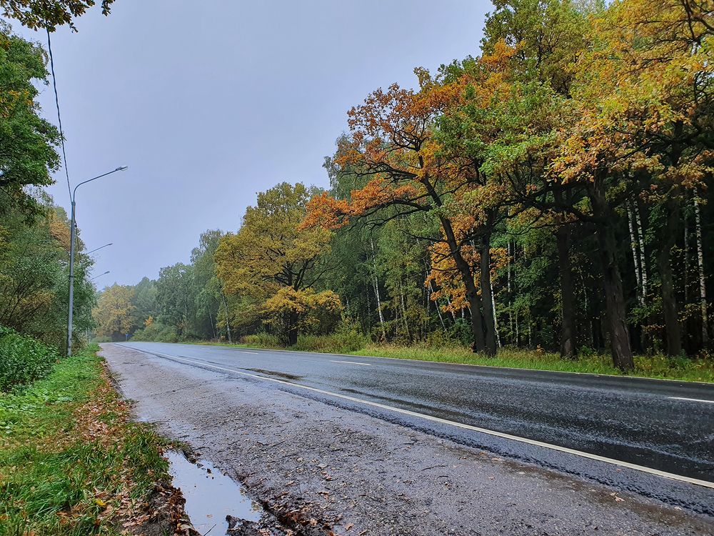 Фотография автора Надежда Лисицына