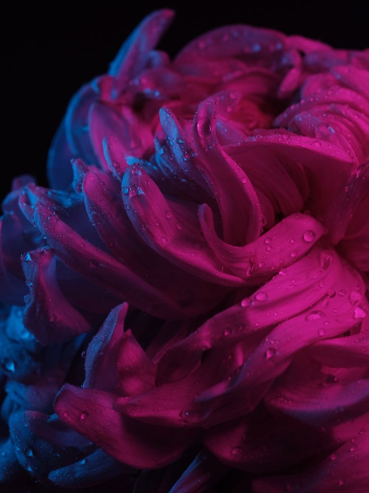 Photograph by Тим