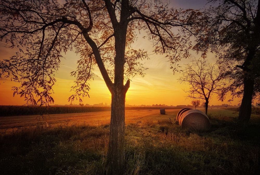 Photograph by Eva Wiedemann