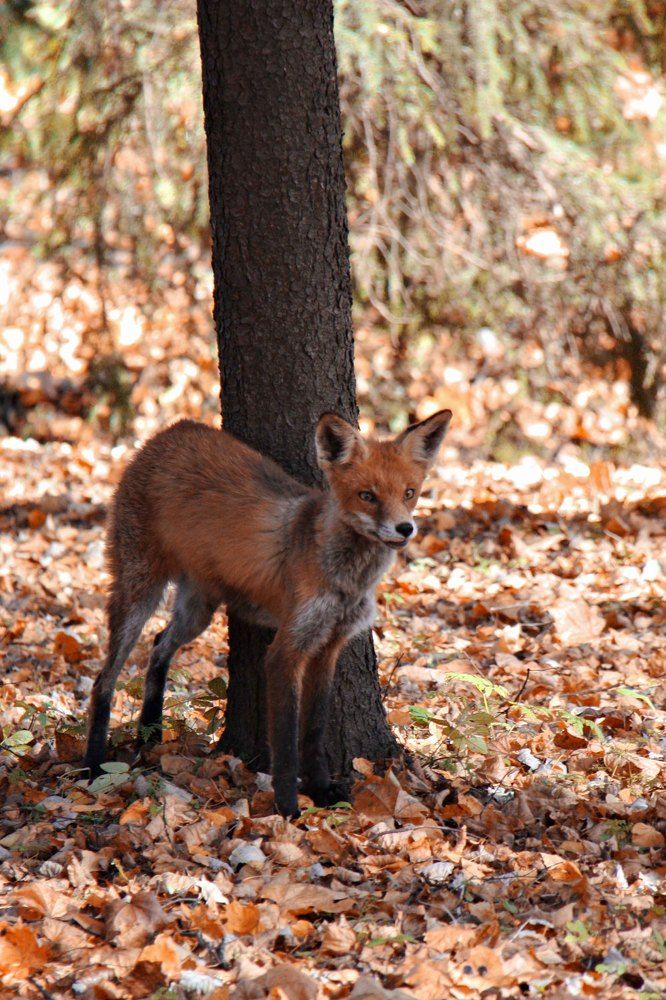 Photograph by Мария Королькова
