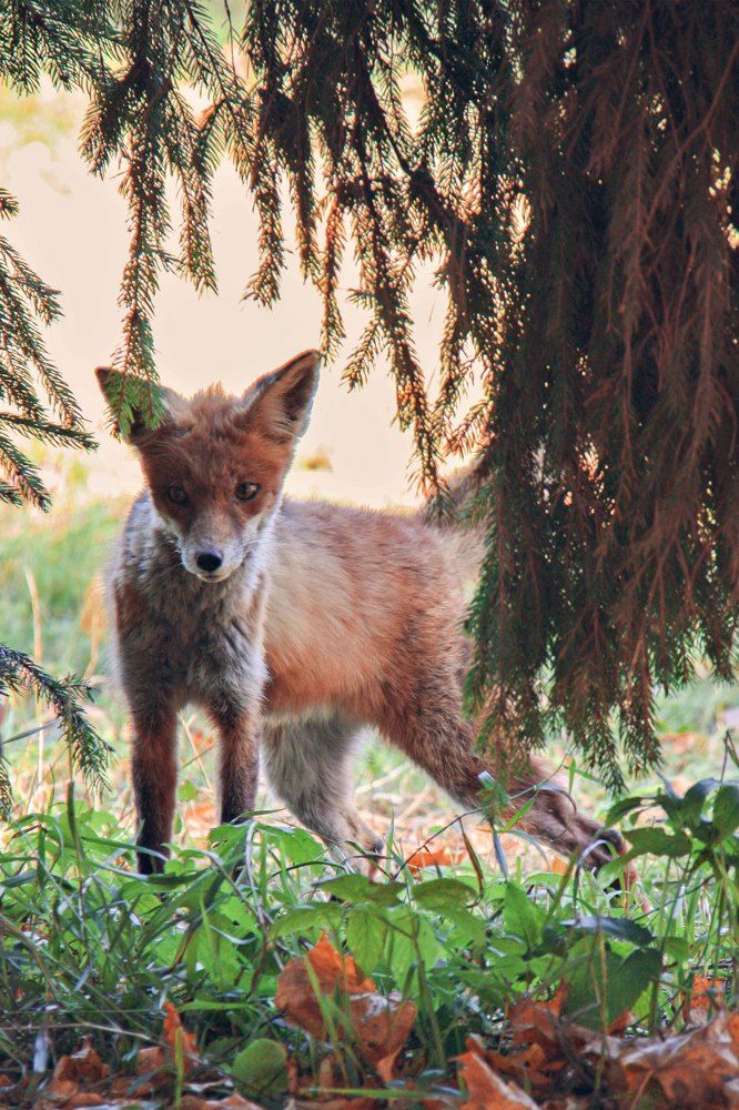 Photograph by Мария Королькова