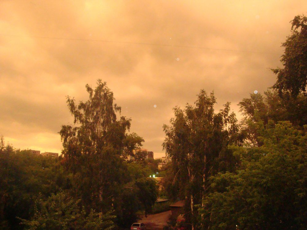 Photo #8296069