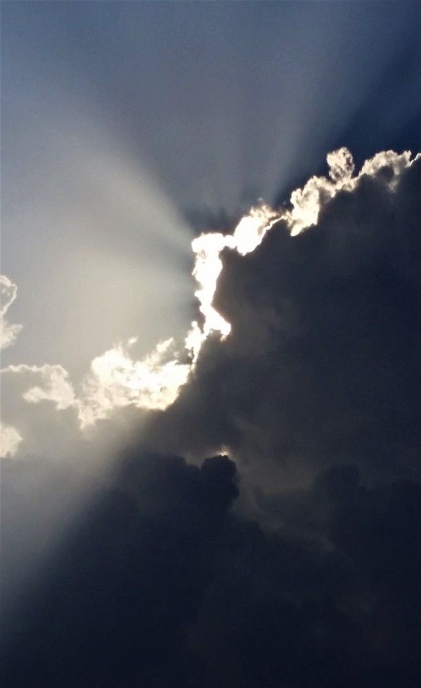Photo #8296075