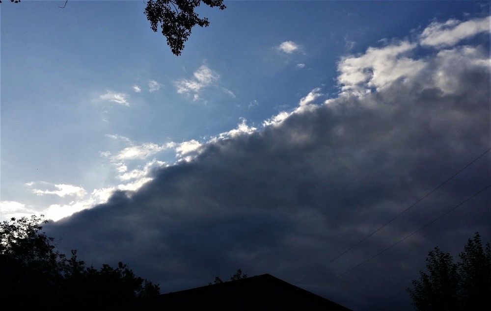 Photo #8296080