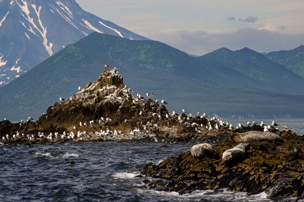 Photograph by Татьяна Решетникова