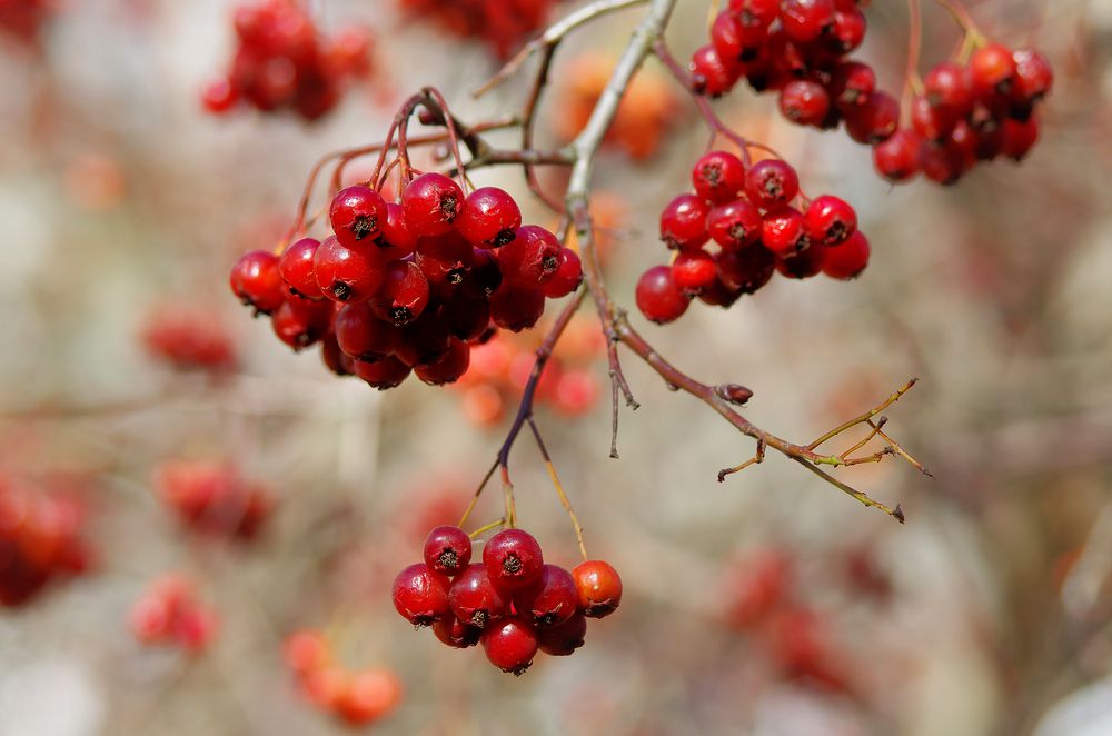 Photograph by Ionika Mink