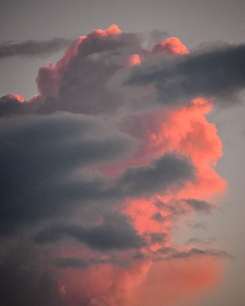 Photograph by Abhilash Sahoo