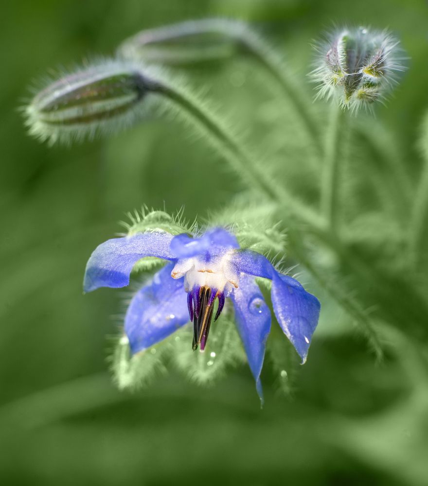 Photograph by Запылаева Анна