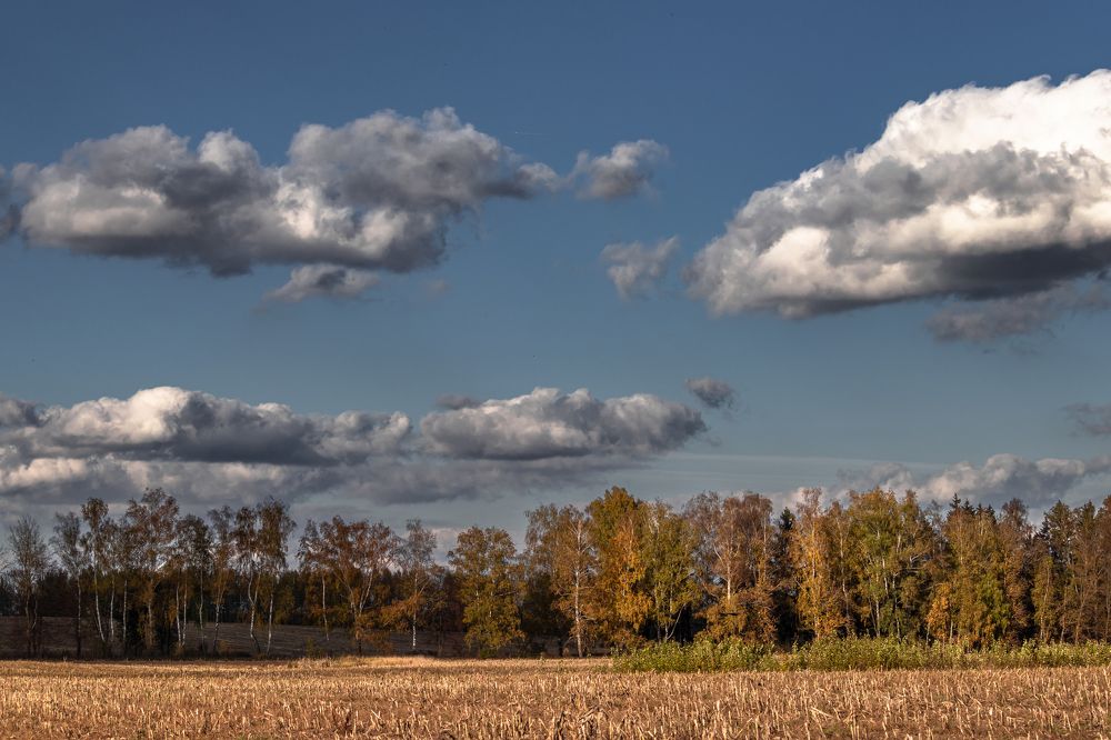 Photograph by Сергей Зайцев