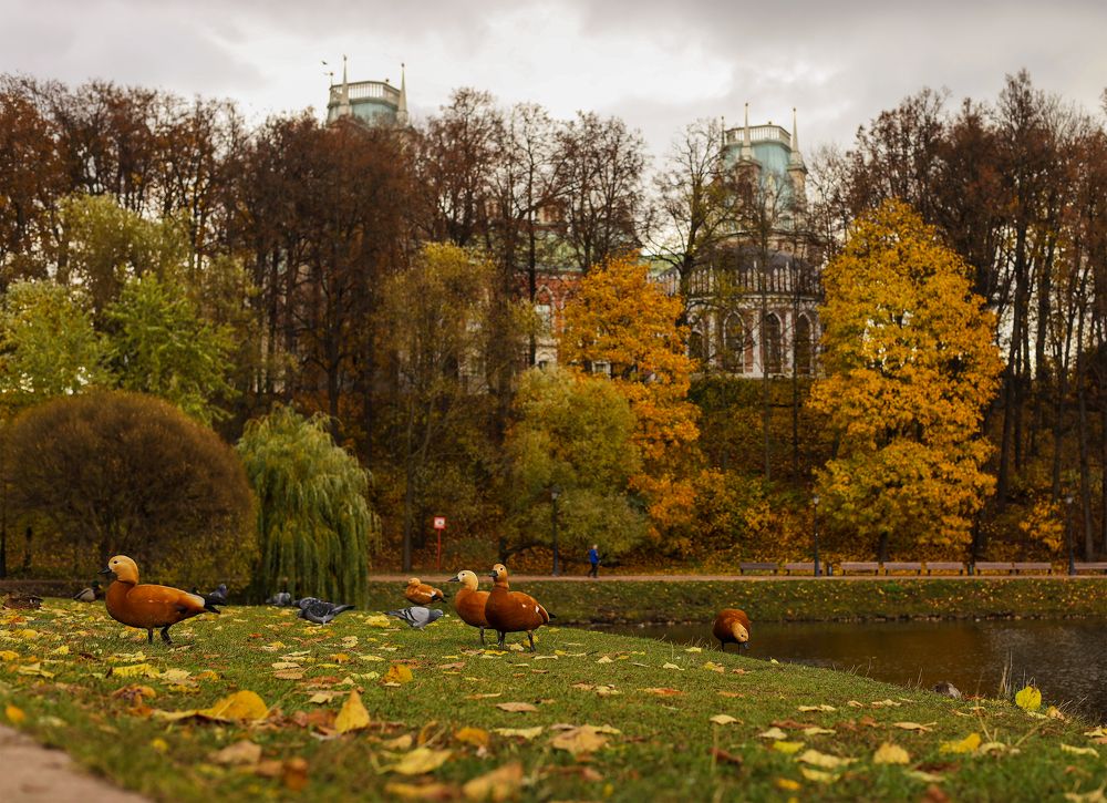 Photograph by Валентина Кваскова