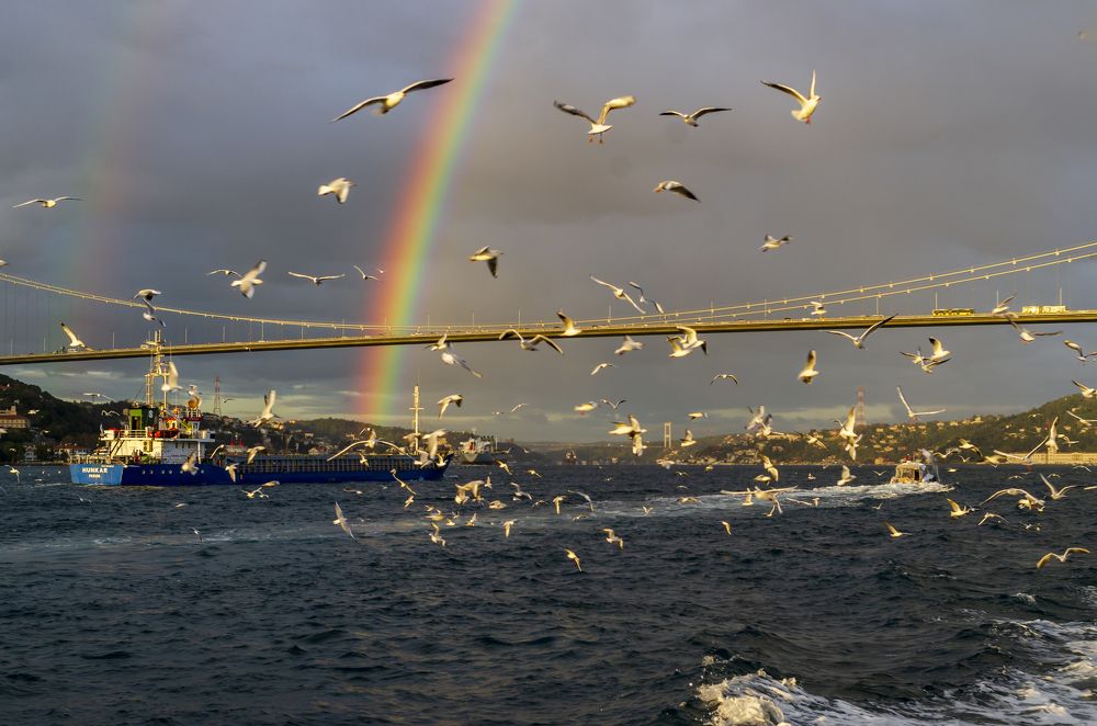 Photograph by Татьяна Решетникова