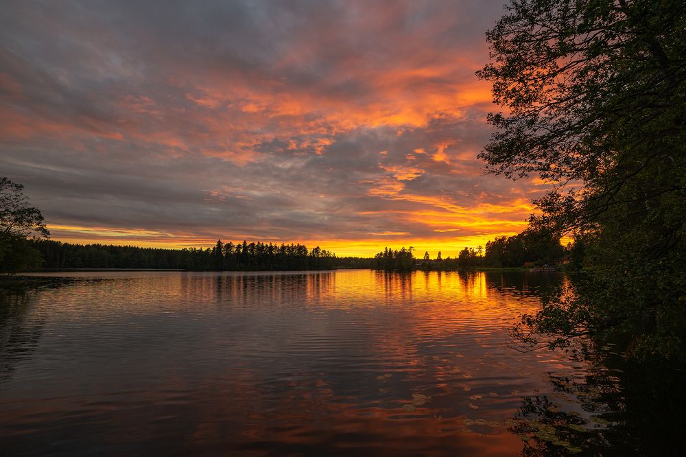 Photograph by Рут Андрей