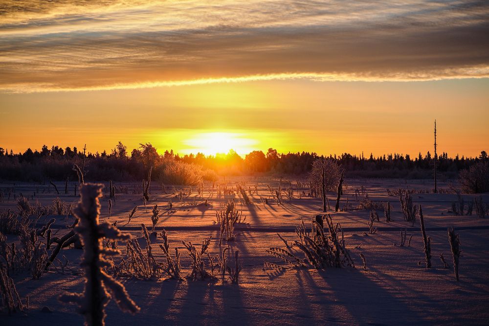 Photograph by Сергей Гаврилов