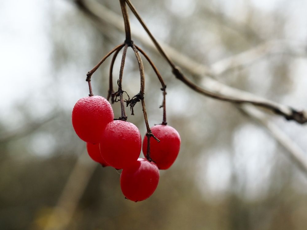 Photograph by Елена Харитонова