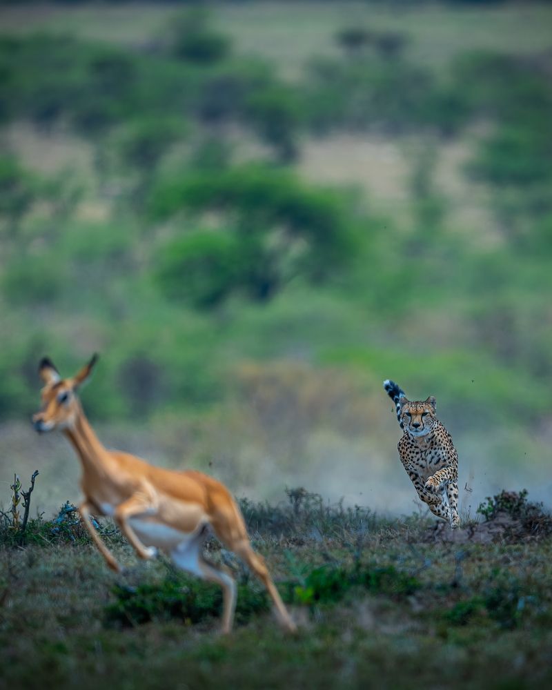 Photograph by Amal George