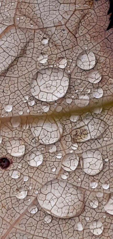 Photograph by Евгения Ульянова