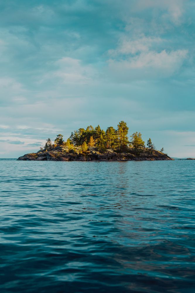 Фотография автора Алексей Новиков