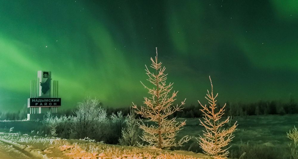 Ямал полярный