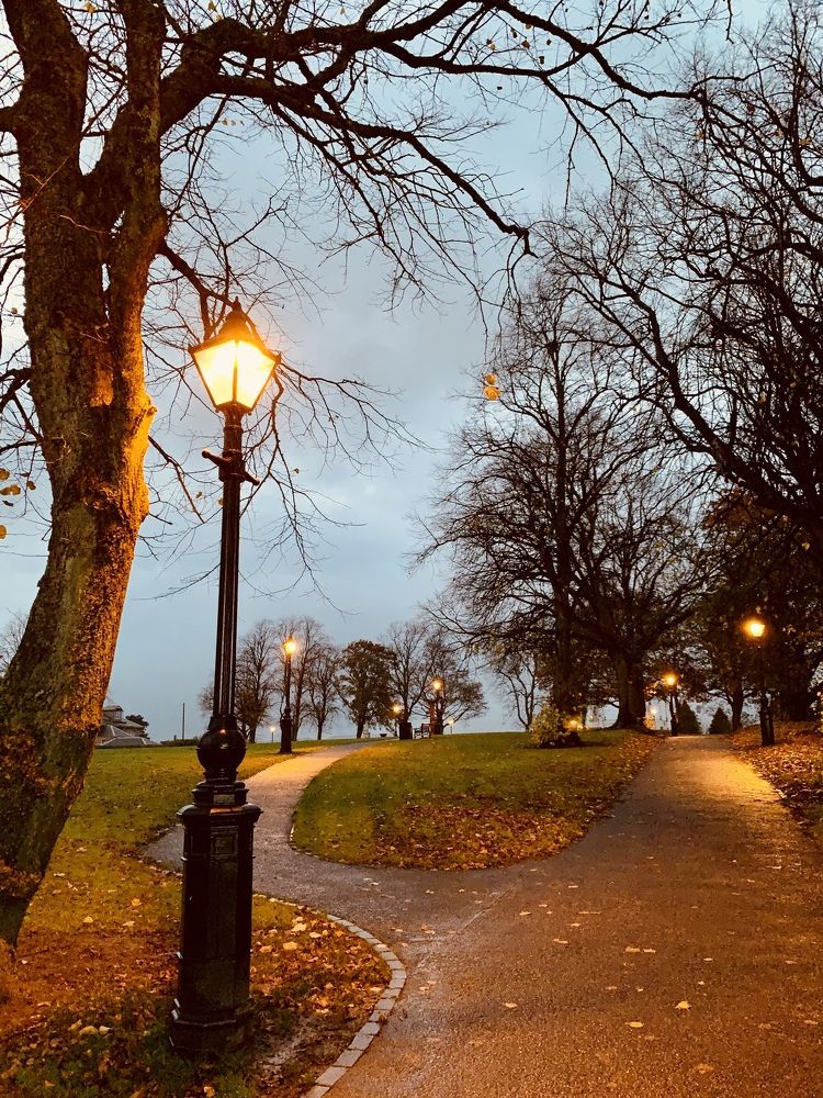 Photograph by Maria Dzene