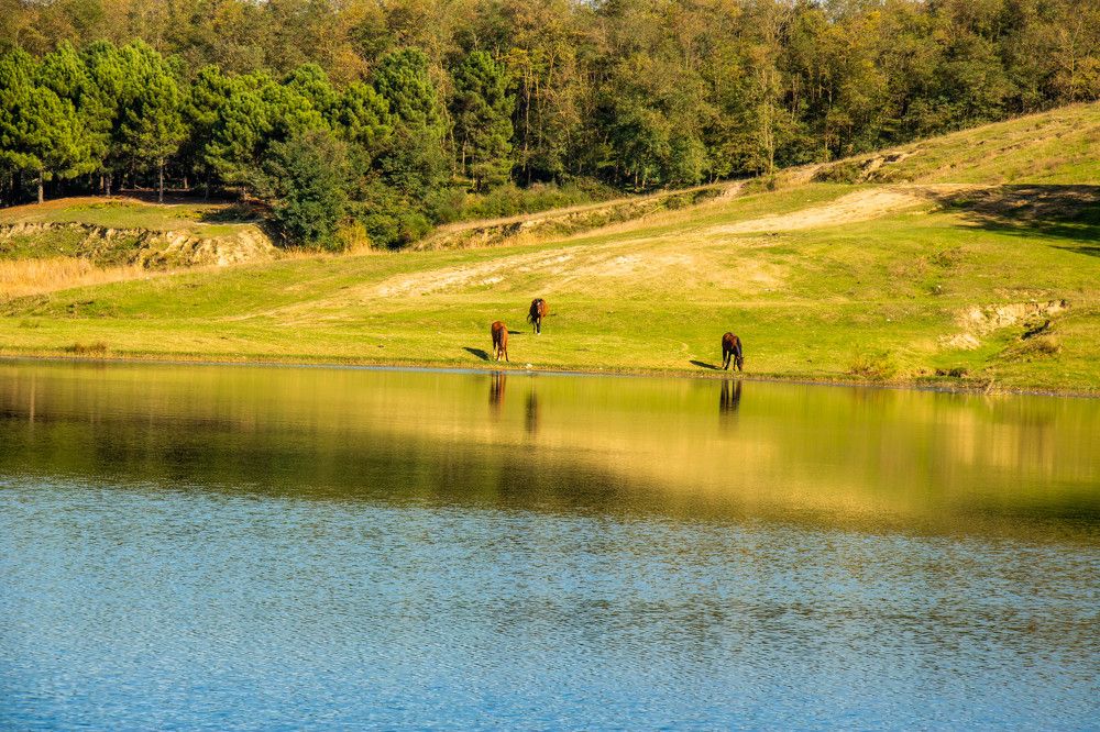 Photograph by Muharrem Bayrmoğlu
