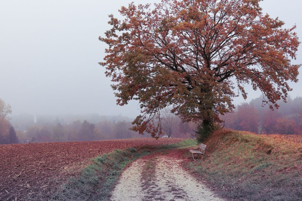 Photograph by Lyudmila Klimanova