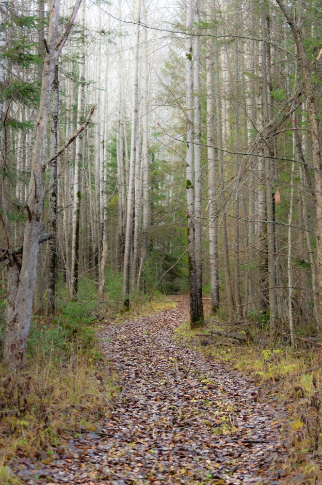 Photograph by Евгений Кузьмин