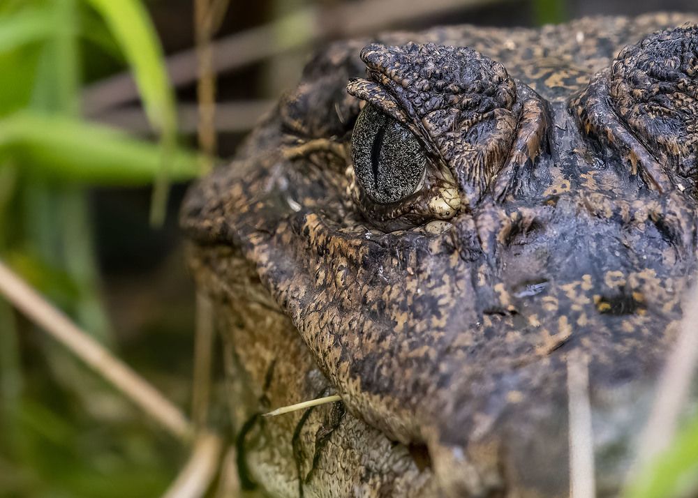 Photograph by Rose-Anne Reyes