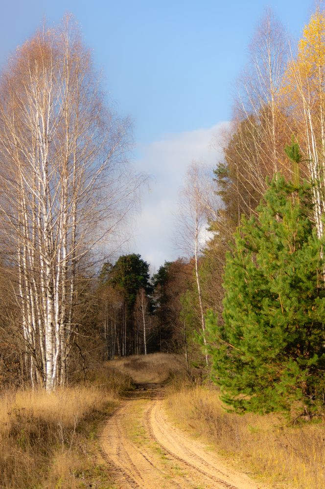 Photograph by Евгений Кузьмин