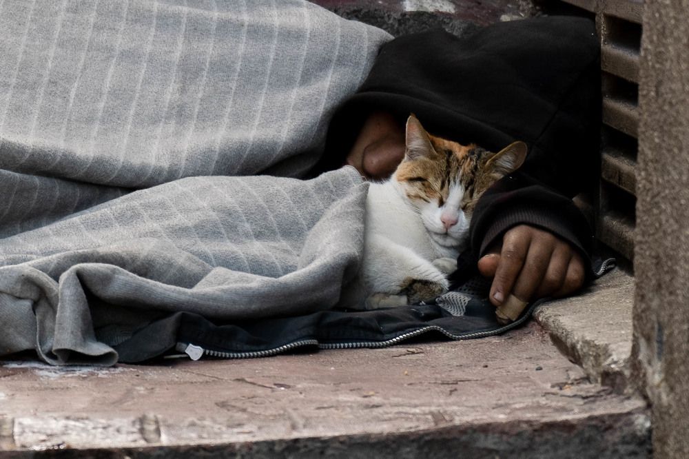 Photograph by Михаил Азаров