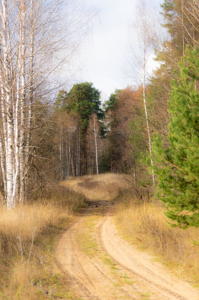 Photograph by Евгений Кузьмин