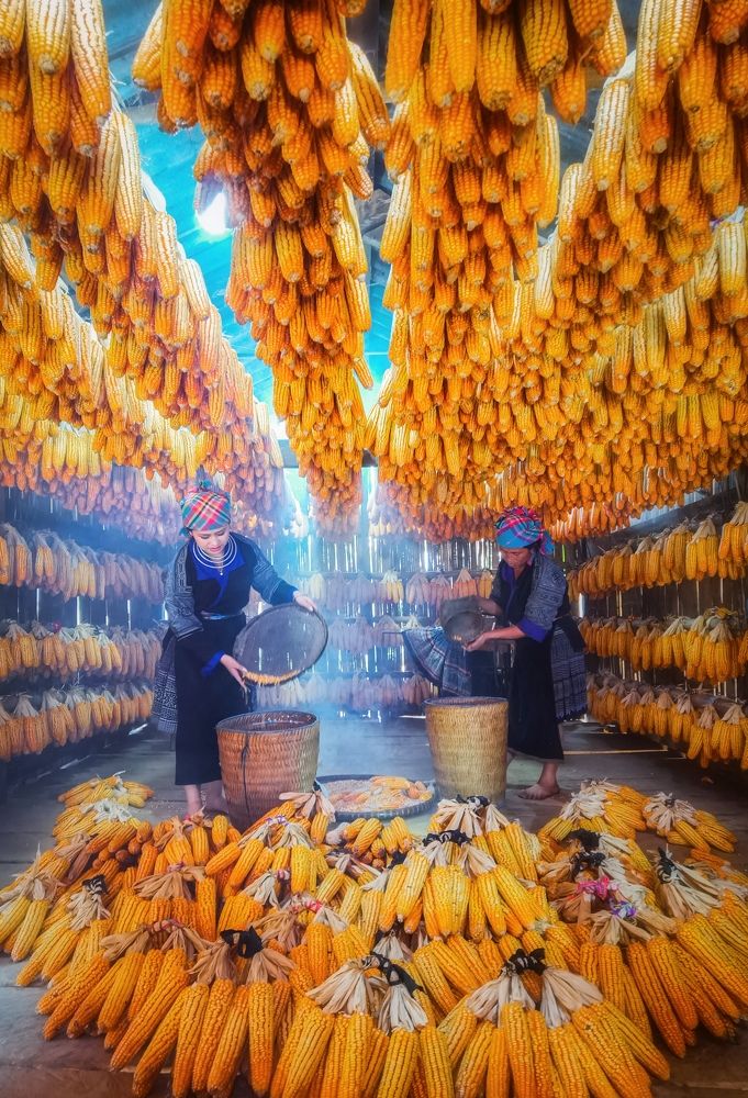 Photograph by Tran Phuong