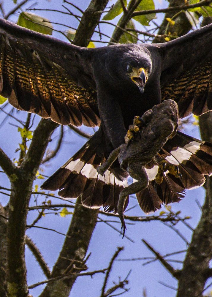 Photograph by Rose-Anne Reyes