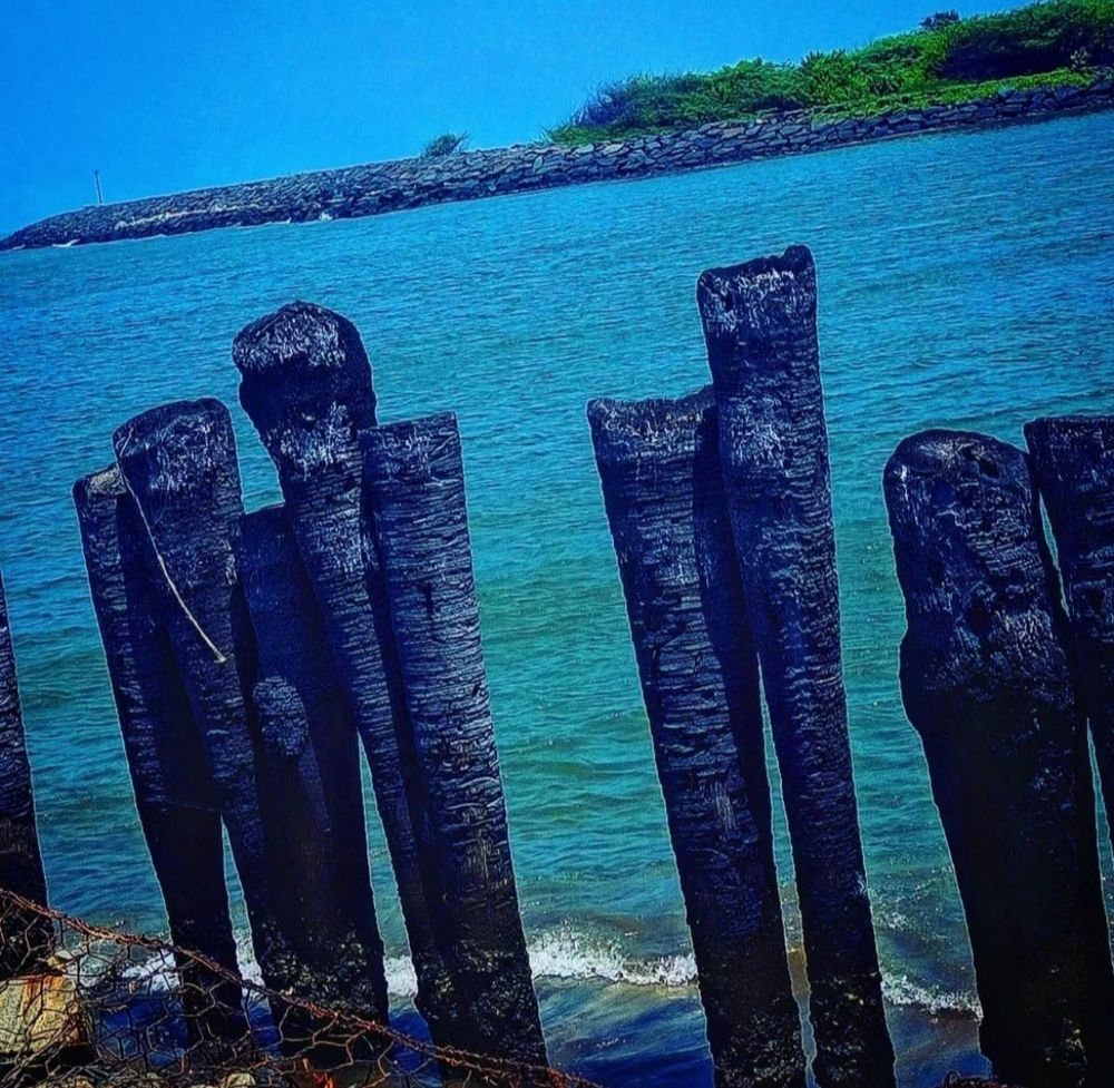 Photograph by S.Pavithra