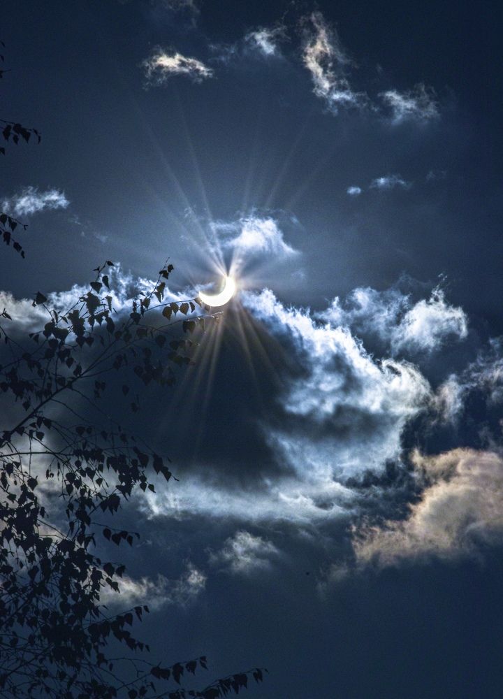 Photograph by Ольга Семина