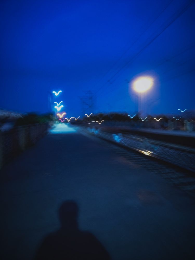 Dream,birds of light.