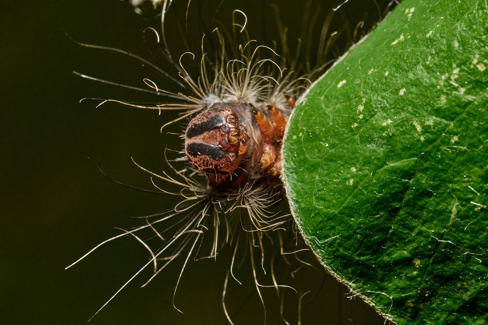 Photograph by Игорь Игоревич