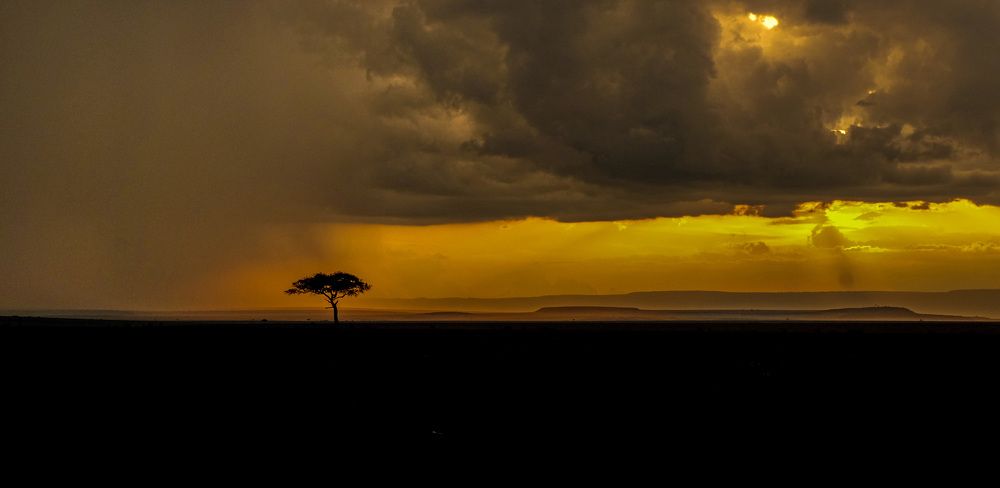 Фотография автора Sajeev Krishnan