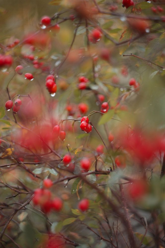 Photograph by Ольга Резникова